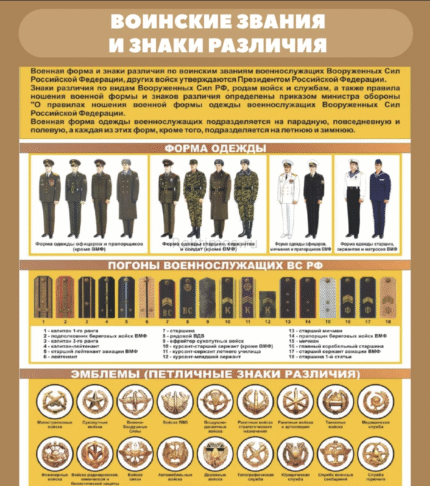 Стенд "Воинские звания и знаки различия"
