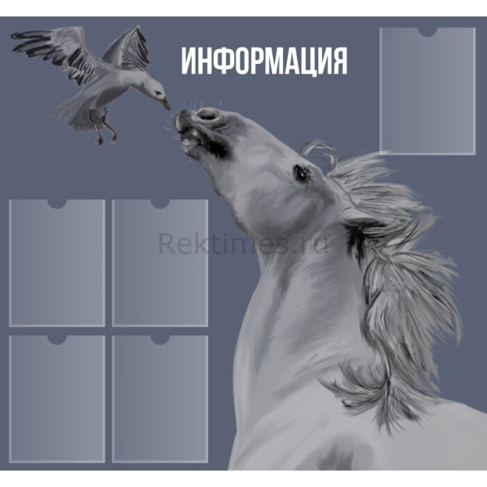 информационный Информационный стенд