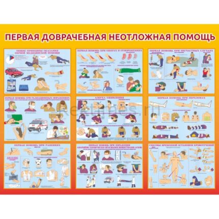 Стенд "Первая доврачебная неотложная помощь"