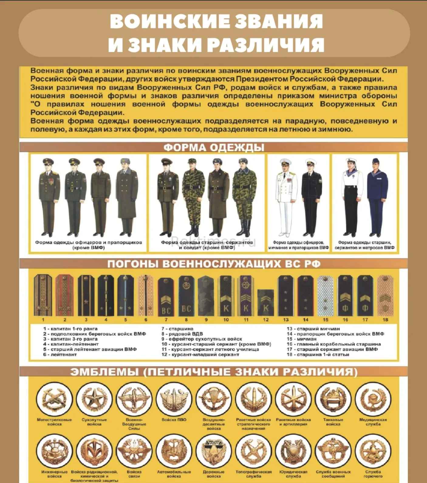 Стенд "Воинские звания и знаки различия" — изображение 1